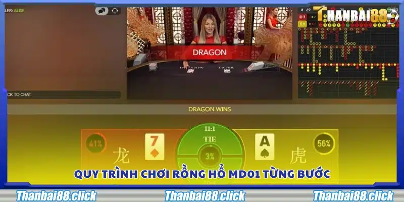 Hướng dẫn các bước chơi Rồng Hổ MD01 chi tiết